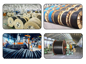 Tv Connector Pigtail Coaxial Cable for Networking Number of Conductors ≥ 10 Communication