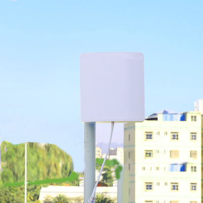30CM Cable Length High Gain Directional 700-2700mhz LTE MIMO Outdoor 4G LTE Antenna